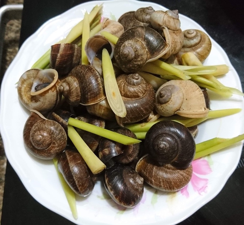11+ Món Ăn Ngon Ở Ninh Bình Nên Thử + Kèm Địa Chỉ Quán Ăn