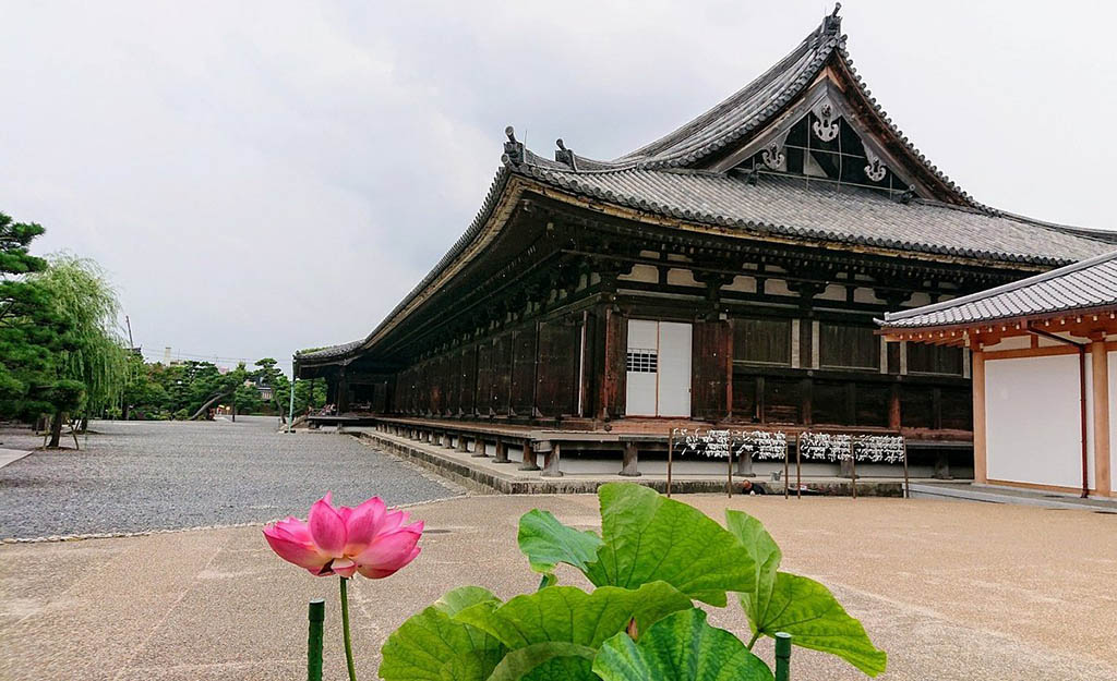 Top 14+ Địa Điểm Du Lịch Kyoto Nổi Tiếng & Đẹp Như Bức Họa
