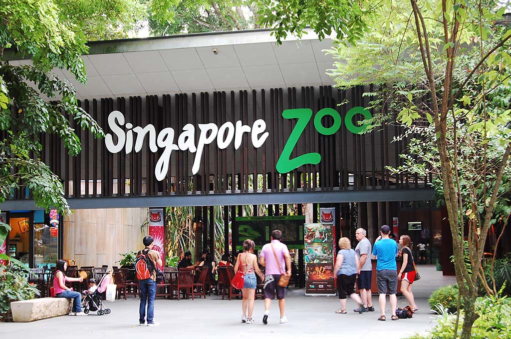 Kinh Nghiệm Du Lịch Singapore Từ A-Z: Chơi Gì, Ăn Gì & Ở Đâu?