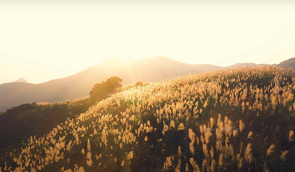 9+ Địa Điểm Cắm Trại Ở Hòa Bình Vừa Đẹp & Vừa "Chill"