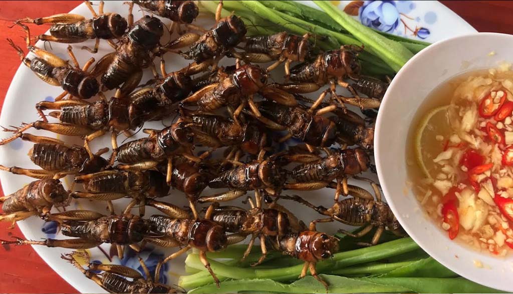 Kinh Nghiệm Du Lịch Nghĩa Lộ: Đi Đâu, Chơi Gì & Ăn Gì